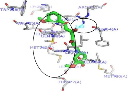 Gambar 8 Visualisasi molecular docking dari interaksi (ikatan hidrogen, interaksi hidrofobik dan interaksi eletrostatik) analog 1 terhadap reseptor androgen 