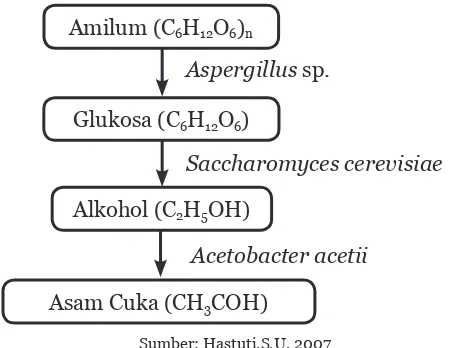 Gambar 8.2Sumber : (a) Dokumen Kemdikbud, (b) http://www.visualphotos.com/ (a) Tape Singkong; (b) Khamir Saccharomyces cerevisiae