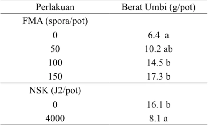 Tabel 5.  Berat umbi (g/pot) tanaman kentang akibat  penambahan  spora FMA dan NSK G.  rosto-chiensis