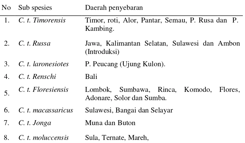 Tabel 1 Daerah  penyebaran  rusa timor (Cervus  timorensis) di Indonesia                   