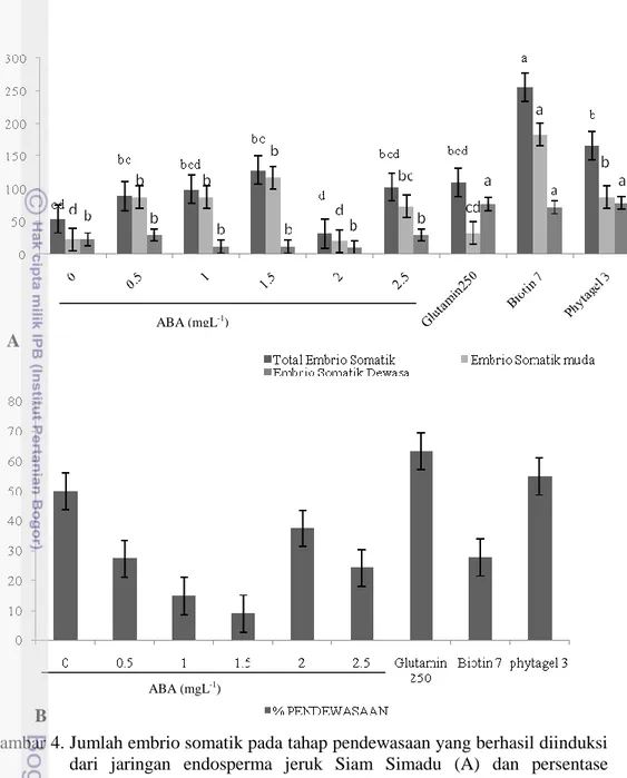 Gambar 4. Jumlah embrio somatik pada tahap pendewasaan yang berhasil diinduksi  dari  jaringan  endosperma  jeruk  Siam  Simadu  (A)  dan  persentase  pendewasaannya  (B),  8  mingu  setelah  dikulturkan  pada  media  MS  modifikasi vitamin MW