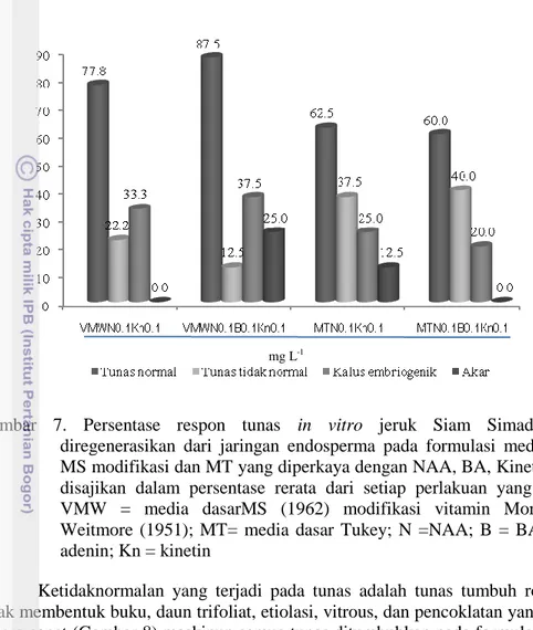 Gambar  7.  Persentase  respon  tunas  in  vitro  jeruk  Siam  Simadu  yang  diregenerasikan  dari  jaringan  endosperma  pada  formulasi  media  dasar  MS modifikasi dan MT yang diperkaya dengan NAA, BA, Kinetin