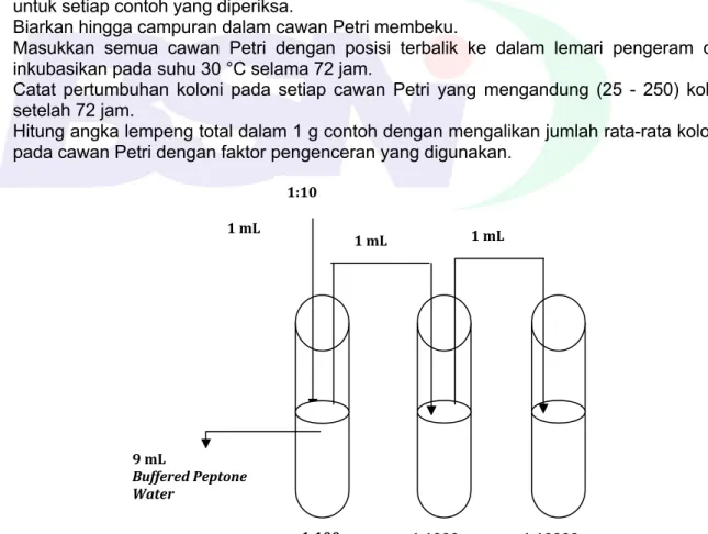 Gambar A.1 - Tingkat pengenceran menggunakan larutan pengence Buffered Peptone   Water (BPW)