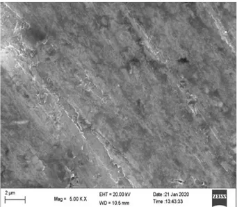 Gambar 2. Mikrograf dari paduan Al 6061,  Penuaan buatan waktu 45  menit, temperatur  200 0C, pembesaran  5000X 