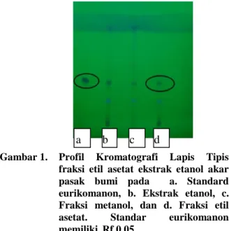 Gambar 1.   Profil Kromatografi Lapis Tipis  fraksi etil asetat ekstrak etanol akar  pasak bumi  pada  a