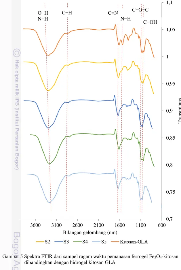 Gambar 5 Spektra FTIR dari sampel ragam waktu pemanasan ferrogel Fe 3 O 4 -kitosan  dibandingkan dengan hidrogel kitosan GLA 