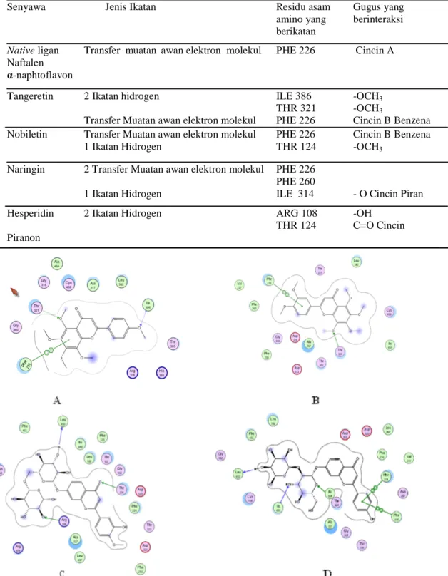 Tabel 3. Hasil intrepretasi interaksi dan jenis ikatan berbagai ligan pada CYP1A2  Senyawa            Jenis Ikatan    Residu asam   Gugus yang  