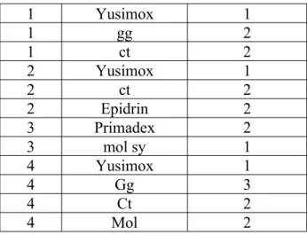 Tabel 4 Daftar Obat