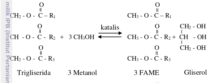 Gambar 1 Reaksi transesterifikasi  