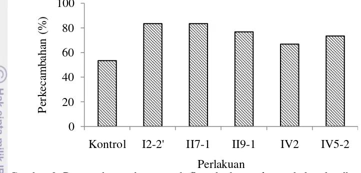 Gambar 2  Pengaruh cwndawan endofit terhadap perkecambahan benih cabai  