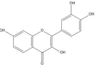 Gambar 2.3 Struktur kimia flavonoid  2.3 Ekstraksi 