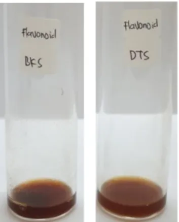 Gambar 1. Uji alkaloid pada batang (kiri) dan  daun (kanan) Sandoricum koetjape 