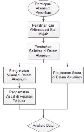 Gambar 1 Diagram alir penelitian  Persiapan Akuarium 