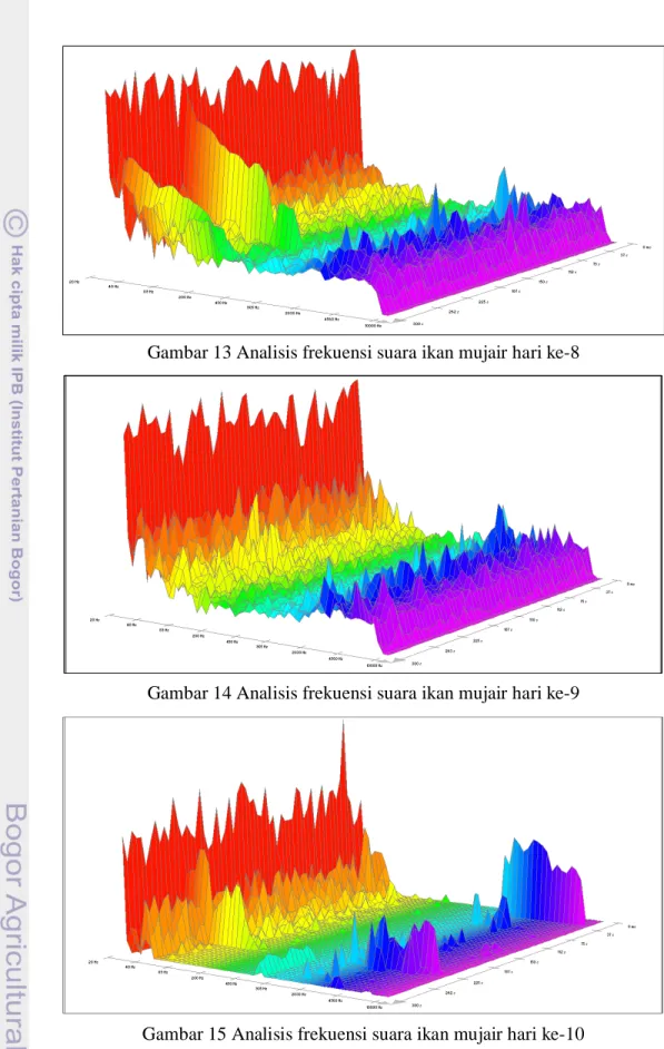 Gambar 13 Analisis frekuensi suara ikan mujair hari ke-8      