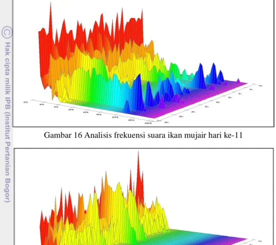 Gambar 16 Analisis frekuensi suara ikan mujair hari ke-11    