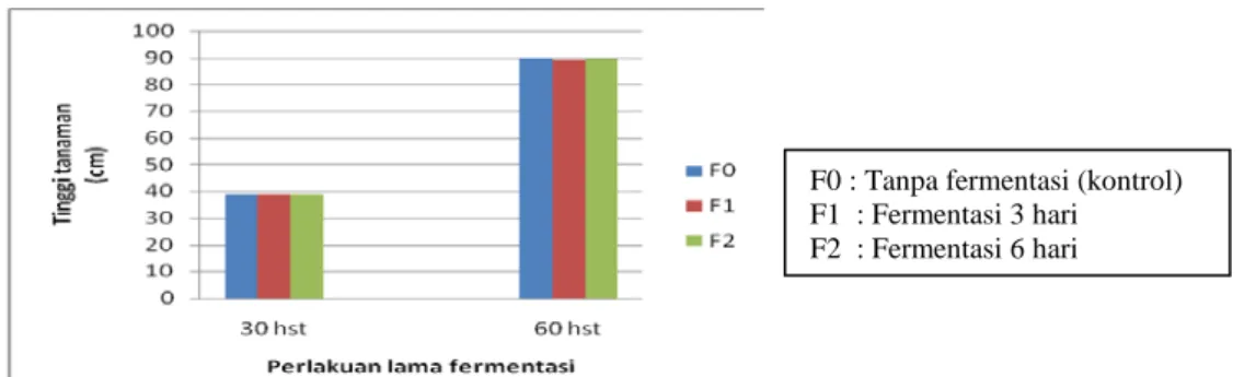Gambar 2. Tinggi tanaman kacang hijau terhadap lama fermentasi  pestisida nabati paitan  umur 30 dan 60 hst