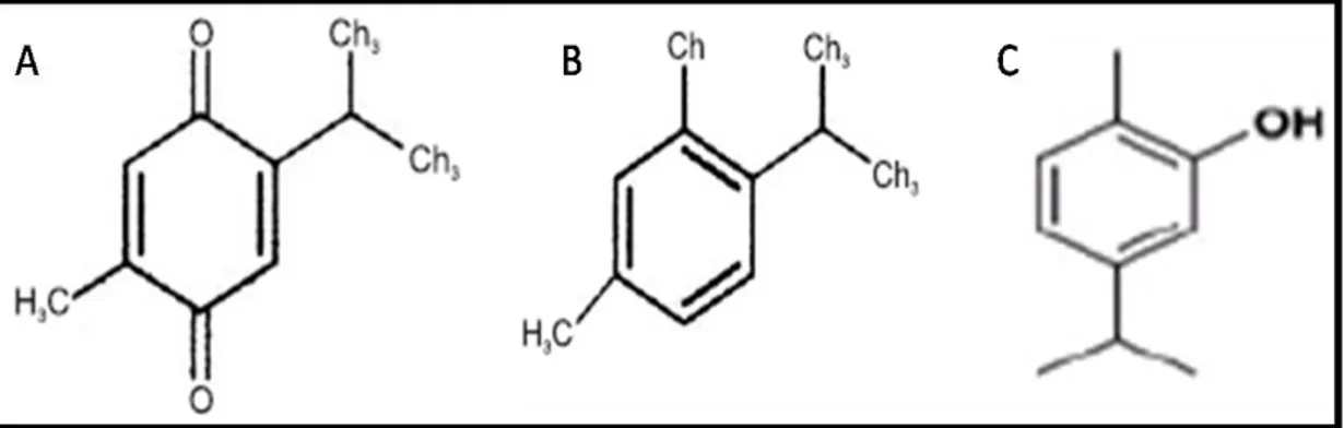 Gambar 3.  Struktur  kimia  senyawa  aktif  biji  jintan  hitam (A)  timokuinon,(B)  timol,  dan (C) karvakrol 5,9