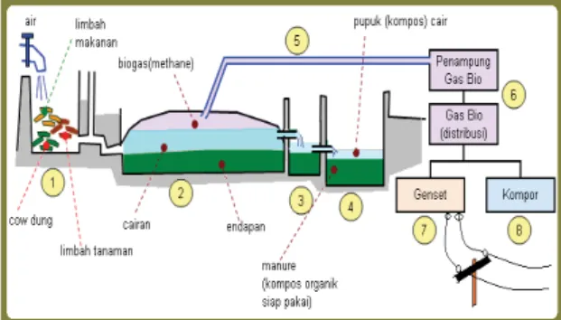 Gambar 1Skema Pemanfaatan Biogas dari  Kotoran Sapi 1