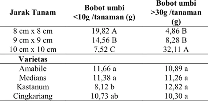 Tabel 8. Pengaruh jarak tanam dan varietas terhadap  bobot umbi kentangberukuran &lt;10 g dan &gt;30 g  per tanaman 