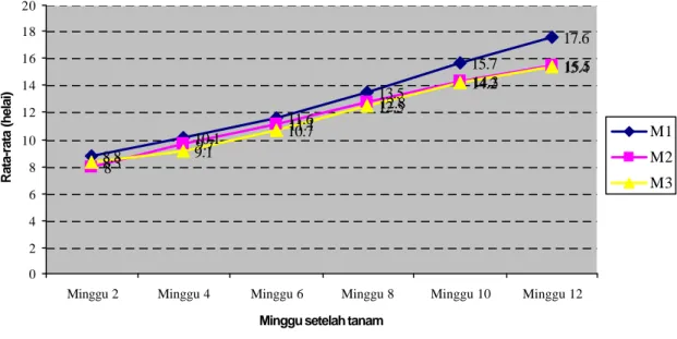 Gambar 1. Grafik pertumbuhan jumlah daun (helai) masing  – masing  perlakuan umur 2, 4, 6, 8, 10, 12 minggu setelah tanam