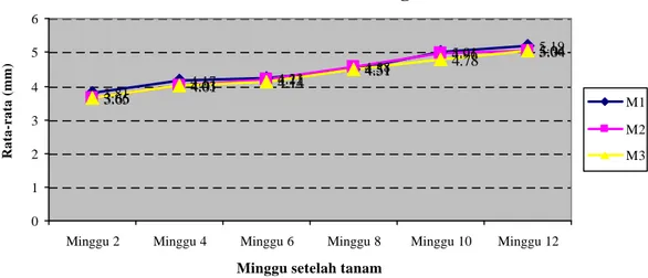 Gambar  3.Grafik pertumbuhan  rata-rata diameter batang (mm) masin–