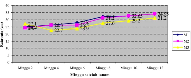Gambar 5. Grafik pertumbuhan  rata-rata tinggi bibit (cm) masing  – masing  perlakuan umur 2, 4, 6, 8, 10, 12 minggu setelah tanam