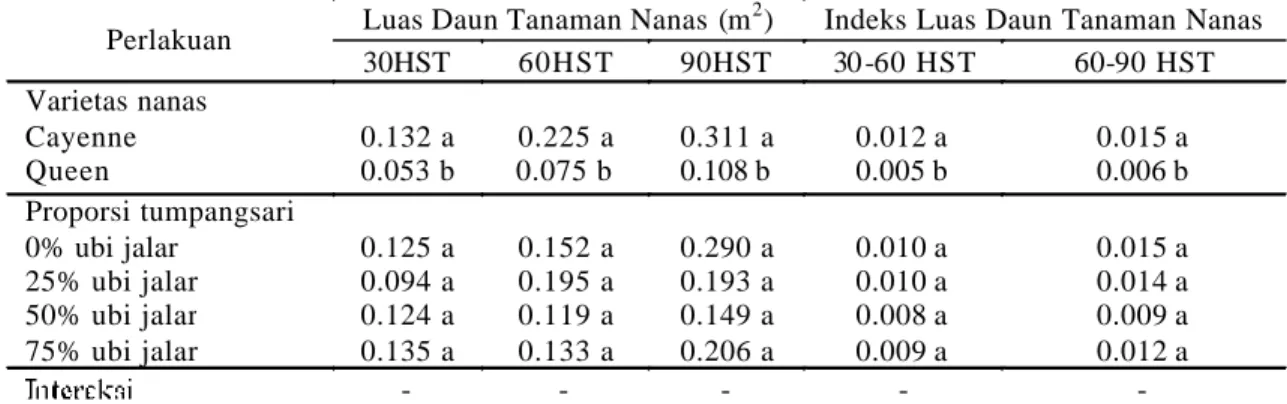 Tabel 2. Pengaruh varietas nanas dan proporsi tumpangsari terhadap luas daun dan indeks luas daun tanaman               nanas