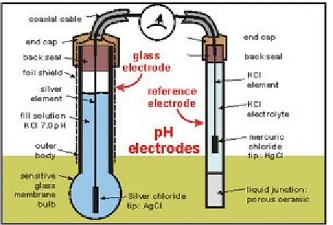 Gambar 1. Skema elektroda pH meter