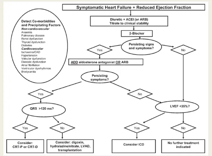 Gambar 2.2. Algoritme terapi pasien gagal jantung.