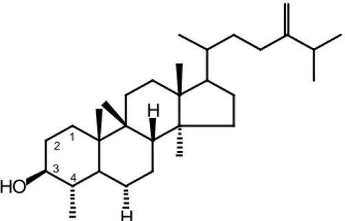 Gambar 1.10 Struktur molekul sikloeukalenol (Goad &amp; Akihisa, 1997). 