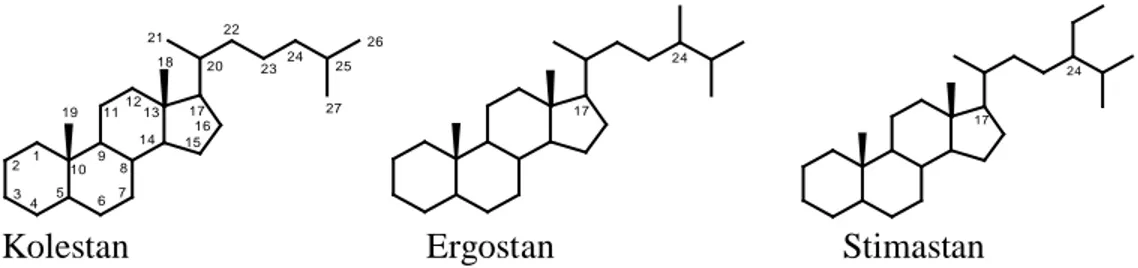 Gambar 1.1 Struktur tiga kerangka sterol: kolestan, ergostan, stigmastan 