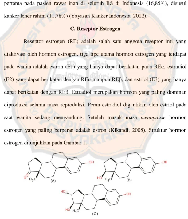 Gambar 1. Struktur hormon estrogen: (A) Estron, (B) Estradiol, (C) Estriol 