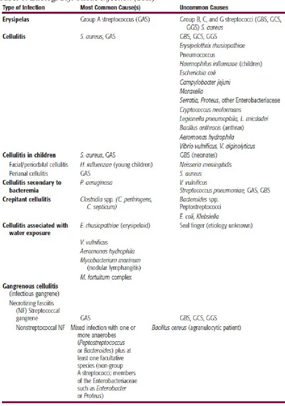 Tabel 1: Etiologi Soft Tissue Infection (STIs)