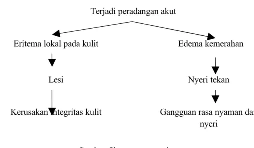 Gambar .Skema patogenesis 
