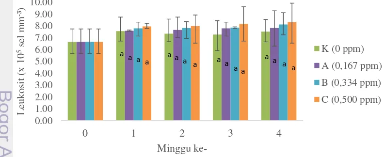 Gambar 5 Leukosit juvenil ikan patin pada uji toksisitas sublethal selama empat 