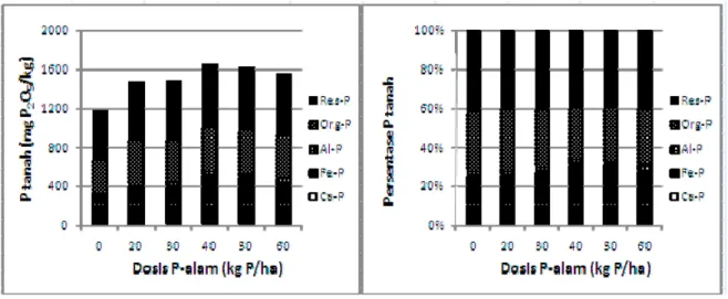 Figure 5.  Effect of application of rock phosphate on soil P forms at volcanic Dystrudepts 