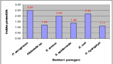 Gambar 1. Indeks proteolitik bakteri patogen 