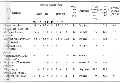 Tabel 2. Jarak Titik Pengamatan Suhu dan RH di Sekitar Pohon dan Data Fisik Pohon 