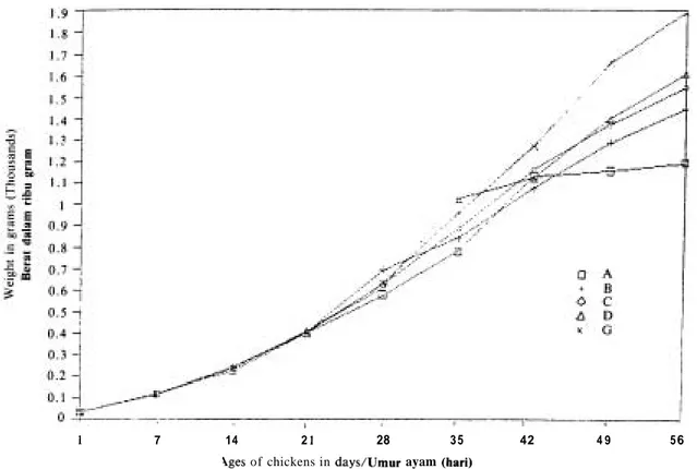Figure  1 .   The growth average of the body weight  in grams of chickens (Baycox Experiment)