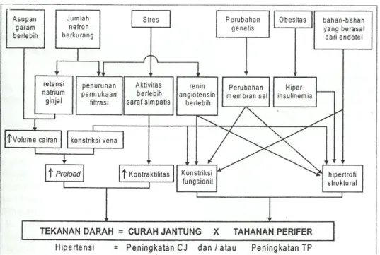 Gambar 1. Faktor-faktor yang Berpengaruh pada Pengendalian Tekanan Darah 