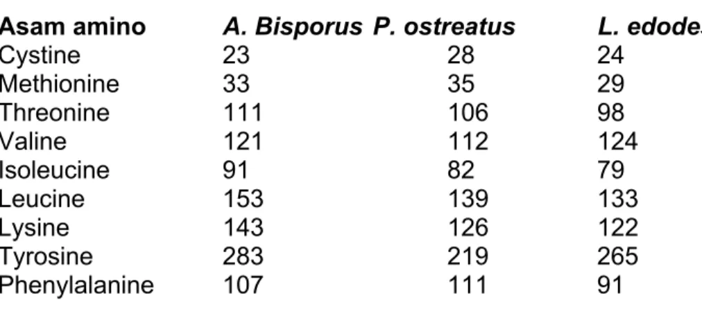 Tabel 3 : Kandungan asam amino jamur Shiitake, Champignon dan Tiram  Asam amino   A. Bisporus  P