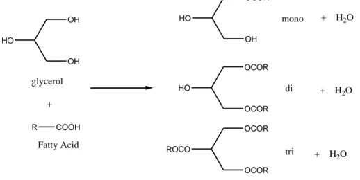 Gambar 1. Reaksi Gliserolisis Asam lemak (Christian et., al. 2010)  Sejumlah  katalis  padat  digunakan  dalam  proses  esterifikasi  pada  gliserol  dilakukan  untuk  mengurangi  target  yang  berbeda  –  beda