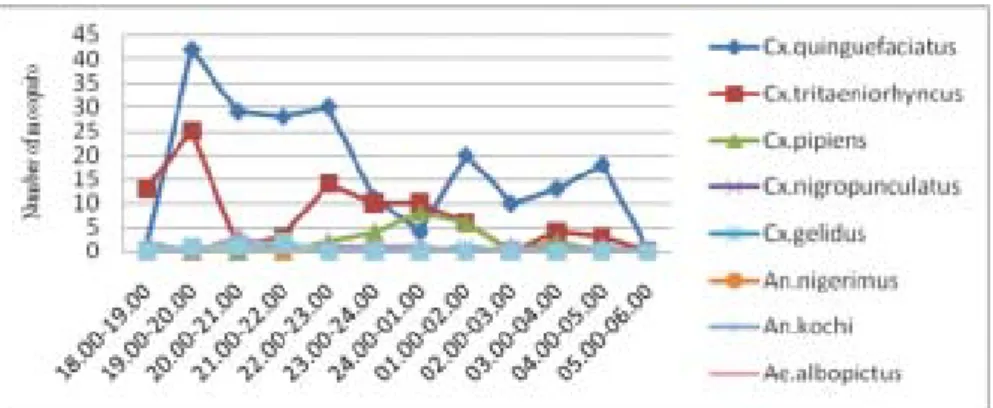 FIGURE 2. The biting activity of outdoor  Culex sp, Anopheles sp, Aedes sp, Mansonia sp at Santu’un Village, Muara Uya Sub district during September 2010 – January 2011