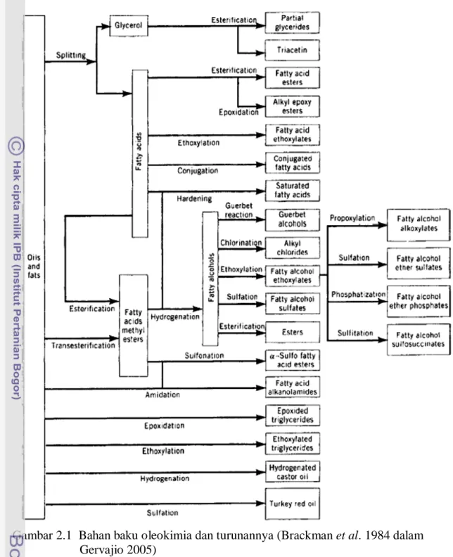 Gambar 2.1  Bahan baku oleokimia dan turunannya (Brackman et al. 1984 dalam  Gervajio 2005) 