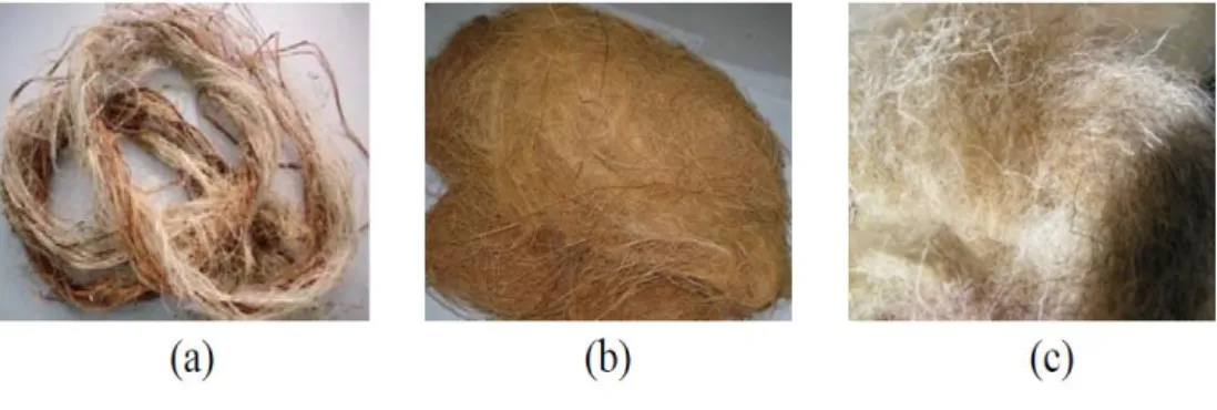 Gambar 2.7. (a) serat rami b) serat kelapa (c) serat wool  