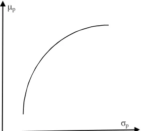 Figure 1. Mean- variance efficient portfolio frontier 
