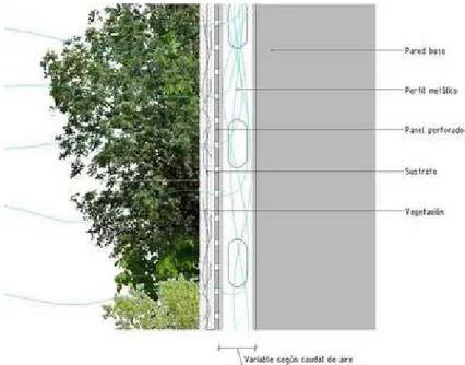 Gambar  2.5 Sistem Green Wall 