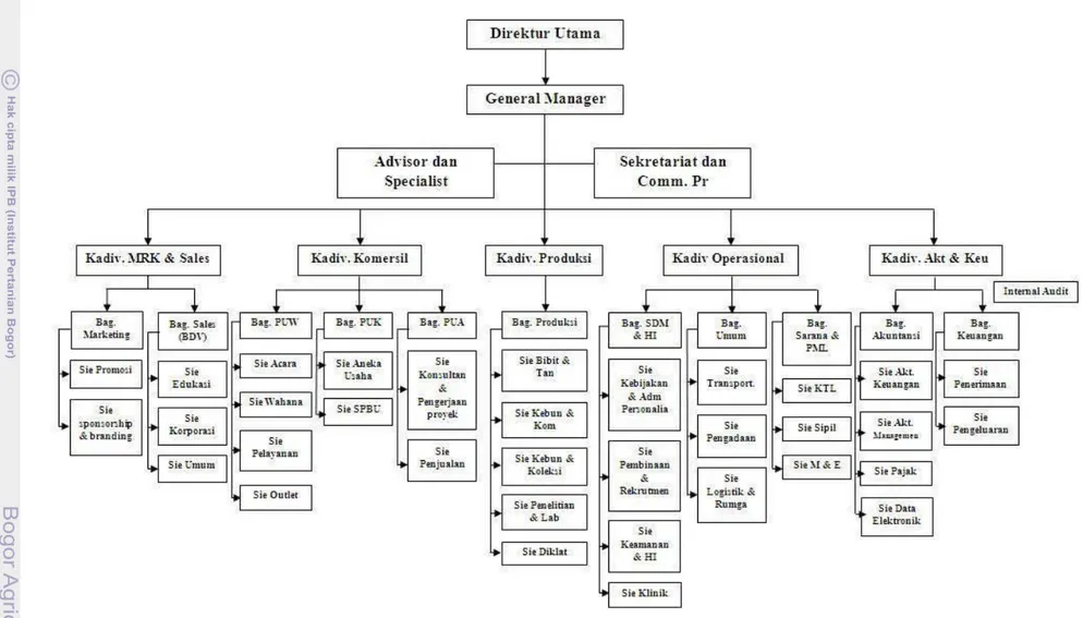 Gambar 10. Struktur Organisasi PT MUS 