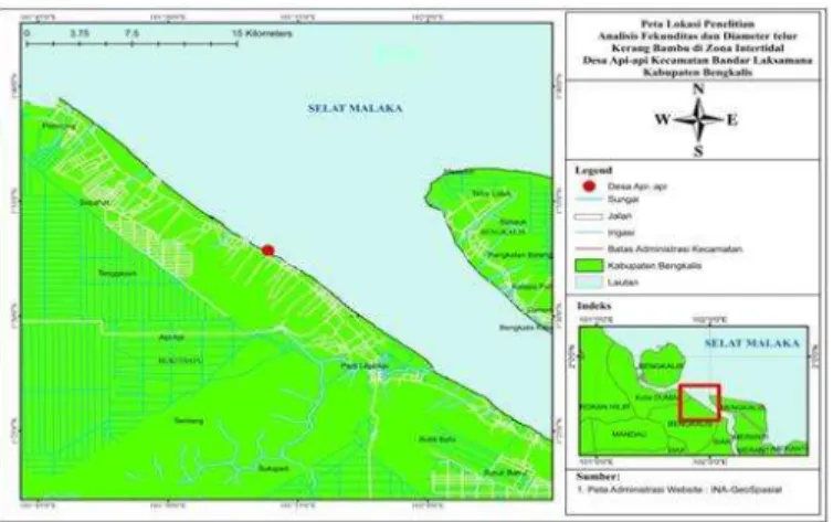 Gambar 1. Lokasi Perairan Intertidal Desa Api-Api 