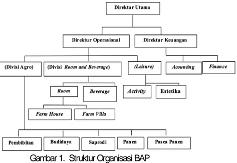 Gambar 1.  Struktur Organisasi BAP 